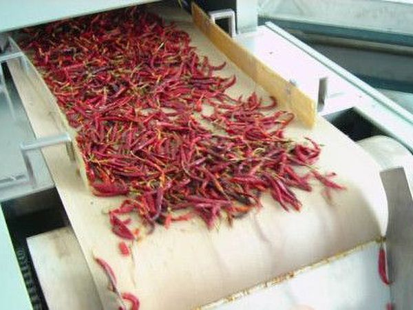 果蔬微波（bō）烘干设备